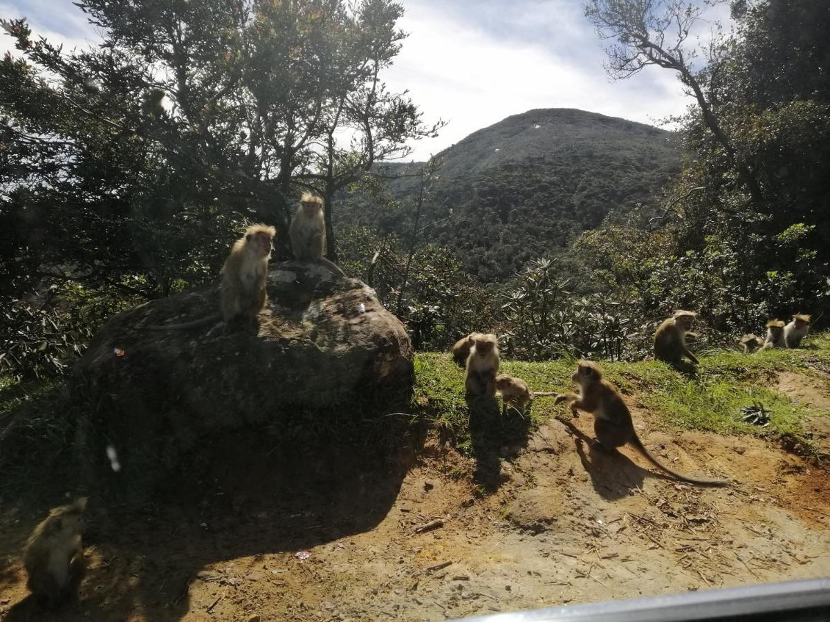 Aerizo Bungalow & Tours ヌワラ・エリヤ エクステリア 写真